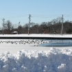 2010-02-12 (087)
